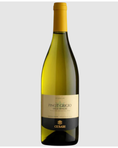 CESARI PINOT CHARD IGT FRIZZAN