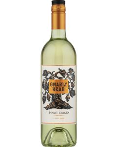 GNARLY HEAD PINOT GRIGIO