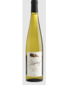 SCHIEFERKOPF BADEN RIESLING