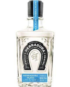 HERRADURA PLATA